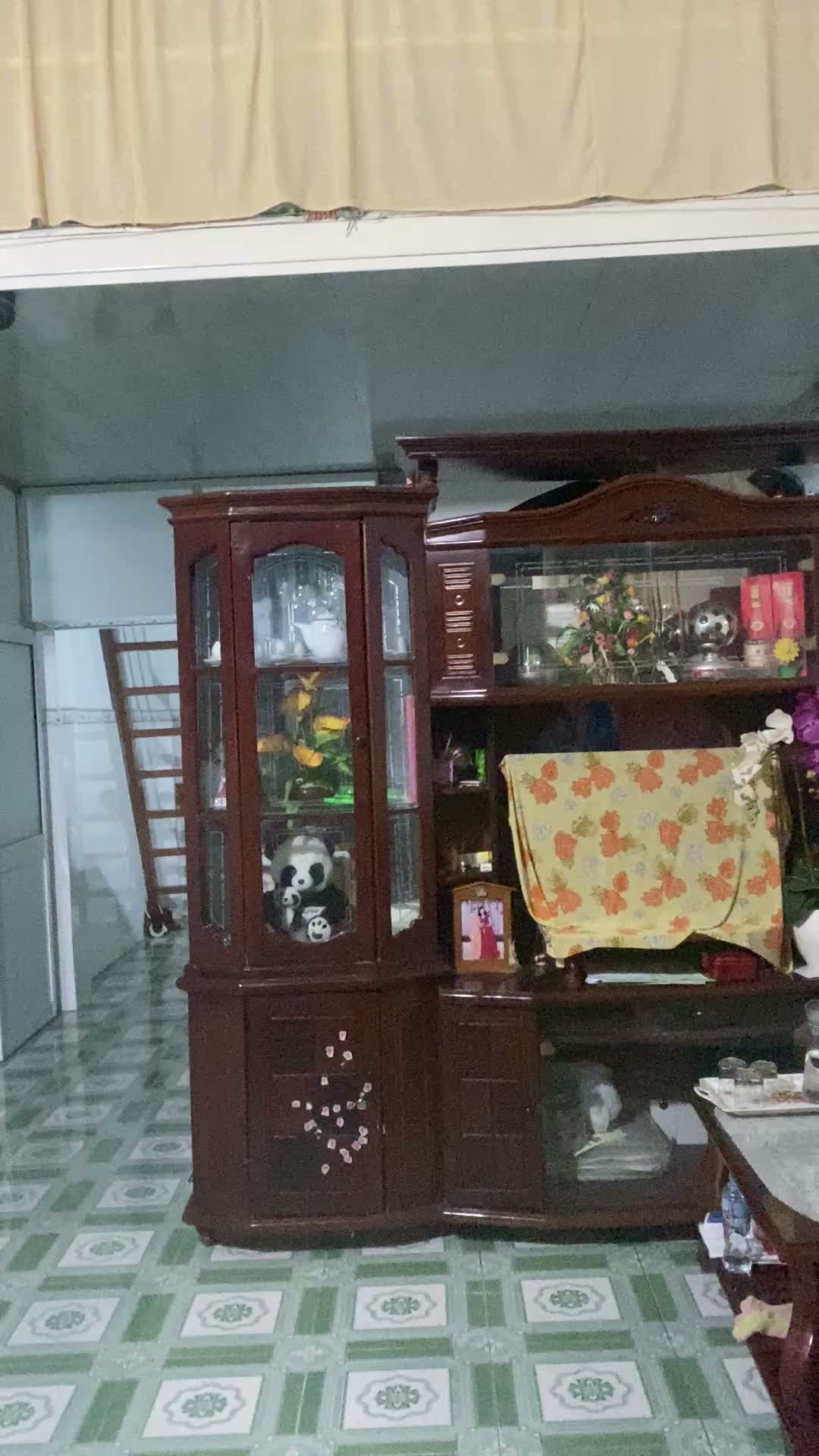 Nhà Dĩ An , binh đừong giá tốt 300m ra phạm văn dồng - ảnh 2
