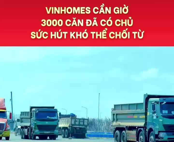 🌴  VINHOMES PARADISE CẦN GIỜ -  TRỤC VỊNH NGỌC 48 - ảnh 2