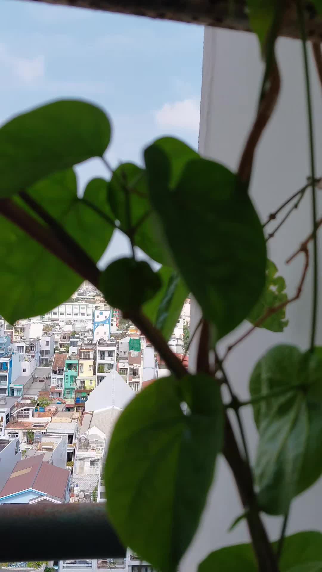 🚨 CĂN HỘ 2PN TẦNG CAO VIEW ĐẸP QUẬN 8 - GIÁ CHỈ 1.9 TỶ (CÓ THƯƠNG LƯỢNG)! - ảnh 2