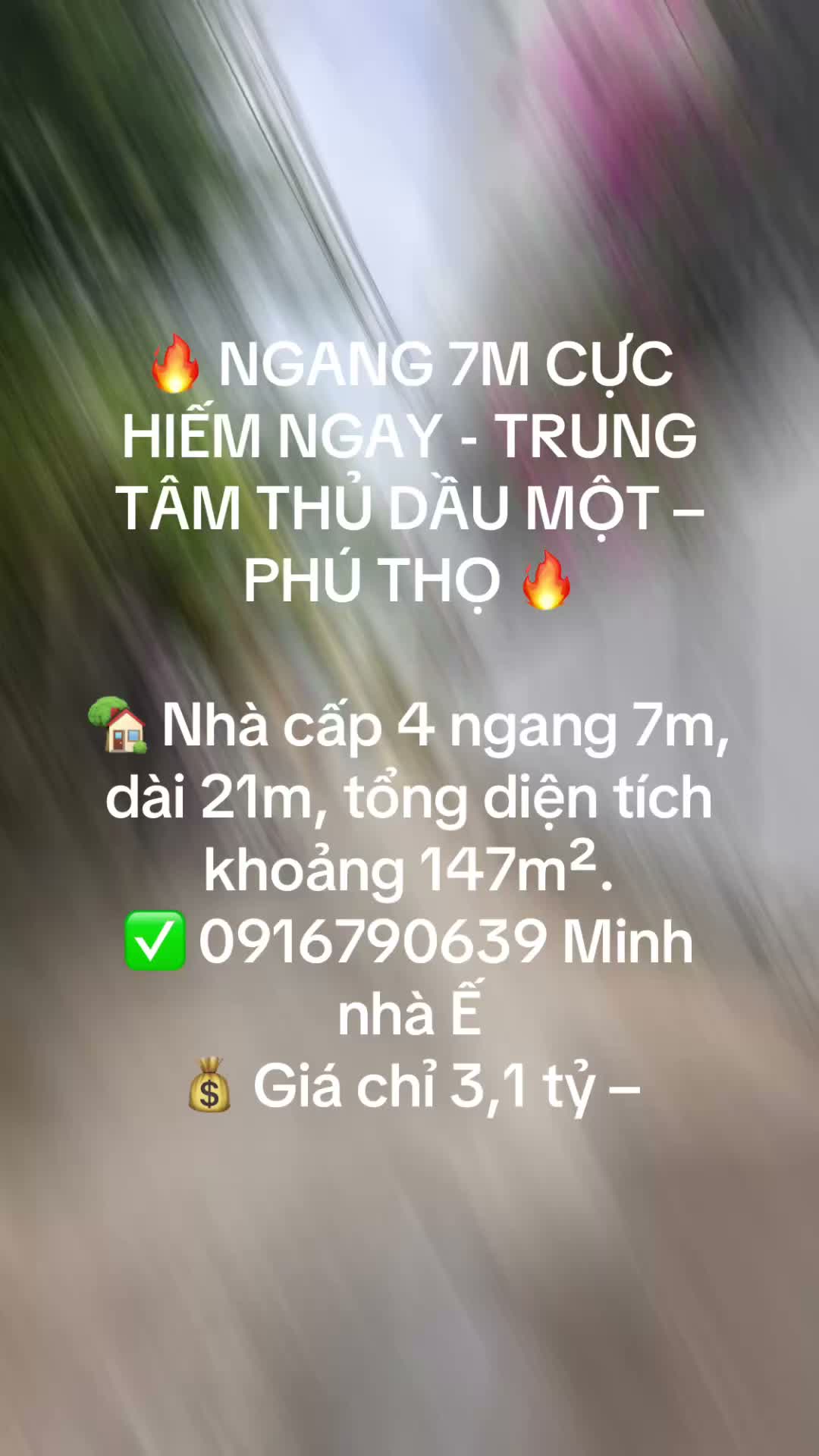Nhà C4 -ngang 7m-trung tâm thủ dầu một  - ảnh 2